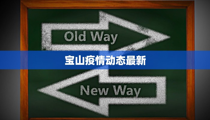 宝山疫情动态最新