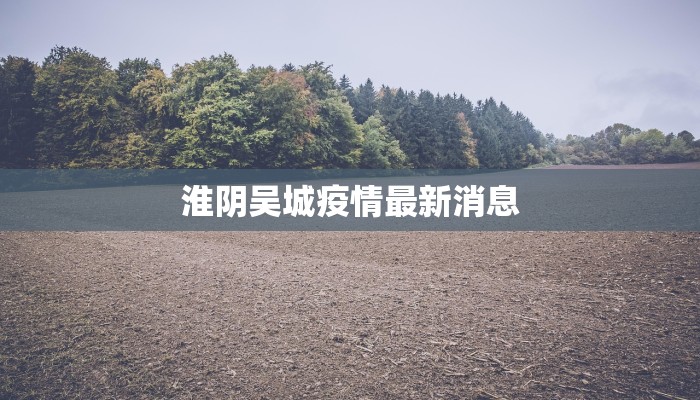 淮阴吴城疫情最新消息