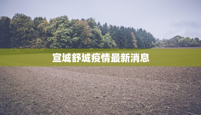 宣城舒城疫情最新消息