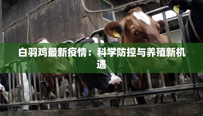 威海疫情现况最新消息