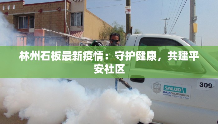 林州石板最新疫情：守护健康，共建平安社区