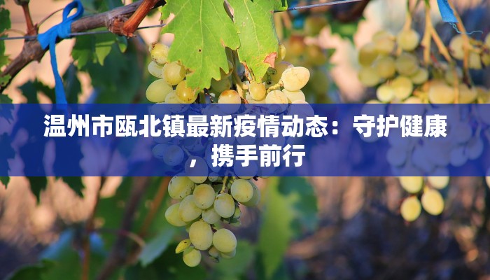 温州市瓯北镇最新疫情动态：守护健康，携手前行