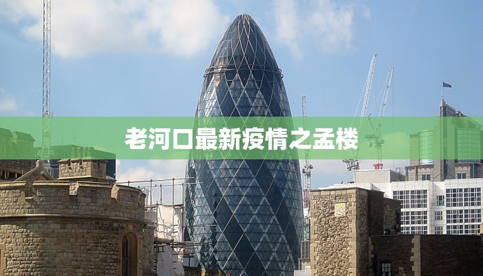 老河口最新疫情之孟楼