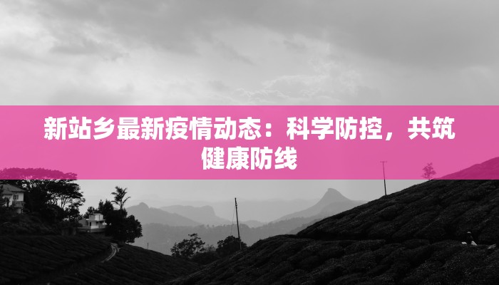 娄底金石疫情最新：科学防控，共筑健康防线