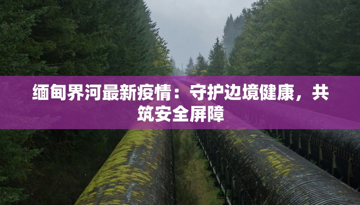 缅甸界河最新疫情：守护边境健康，共筑安全屏障