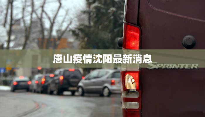 东北工地疫情最新情况