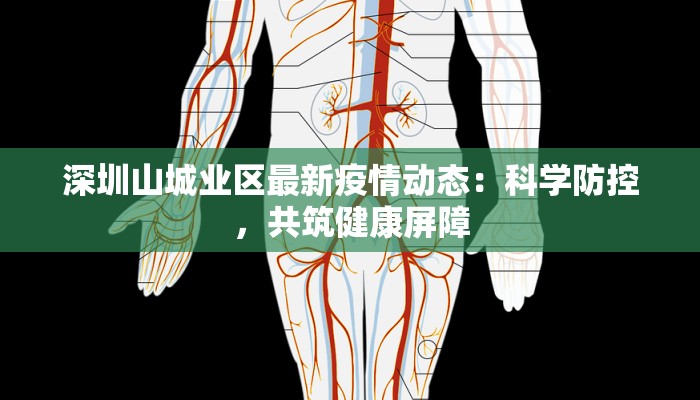 深圳山城业区最新疫情动态：科学防控，共筑健康屏障