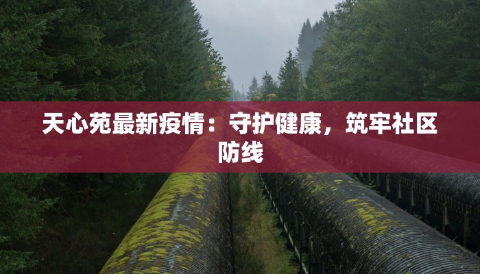 天心苑最新疫情：守护健康，筑牢社区防线