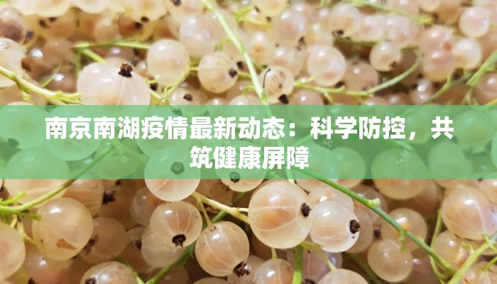 南京南湖疫情最新动态：科学防控，共筑健康屏障