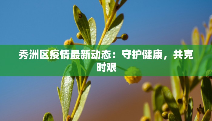 秀洲区疫情最新动态：守护健康，共克时艰