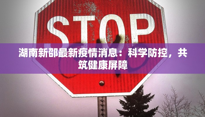 湖南新邵最新疫情消息：科学防控，共筑健康屏障