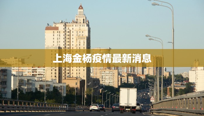 上海金杨疫情最新消息