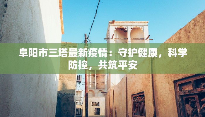 阜阳市三塔最新疫情：守护健康，科学防控，共筑平安