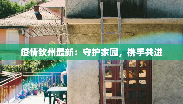 疫情钦州最新：守护家园，携手共进