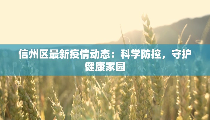 信州区最新疫情动态：科学防控，守护健康家园