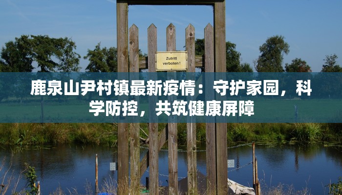 鹿泉山尹村镇最新疫情：守护家园，科学防控，共筑健康屏障