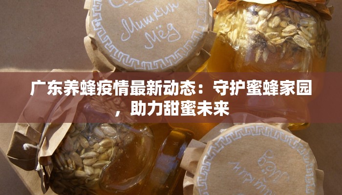 广东养蜂疫情最新动态：守护蜜蜂家园，助力甜蜜未来