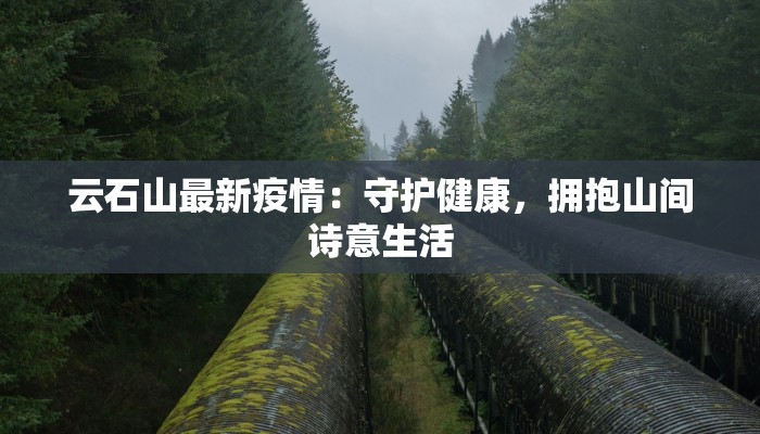 云石山最新疫情：守护健康，拥抱山间诗意生活