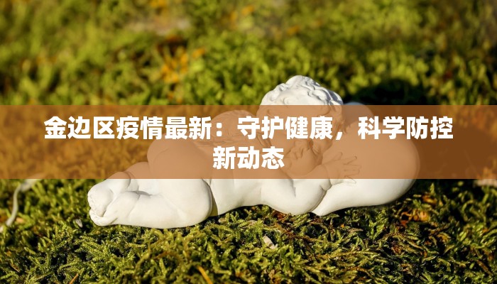 金边区疫情最新：守护健康，科学防控新动态