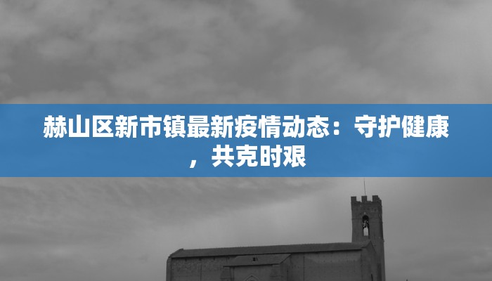 赫山区新市镇最新疫情动态：守护健康，共克时艰