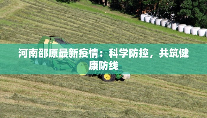 河南邵原最新疫情：科学防控，共筑健康防线