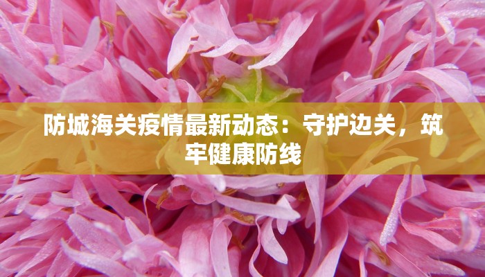 防城海关疫情最新动态：守护边关，筑牢健康防线