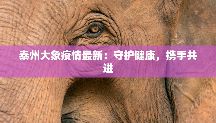泰州大象疫情最新：守护健康，携手共进
