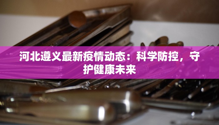 河北遵义最新疫情动态：科学防控，守护健康未来
