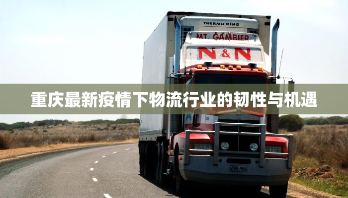 重庆最新疫情下物流行业的韧性与机遇