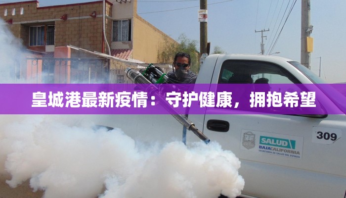 皇城港最新疫情：守护健康，拥抱希望
