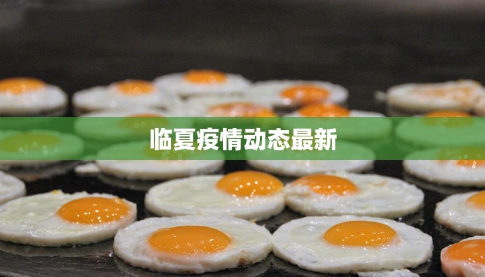 临夏疫情动态最新