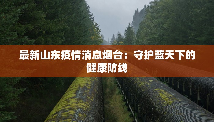 大连疫情最新调查：守护蓝海之滨的健康防线