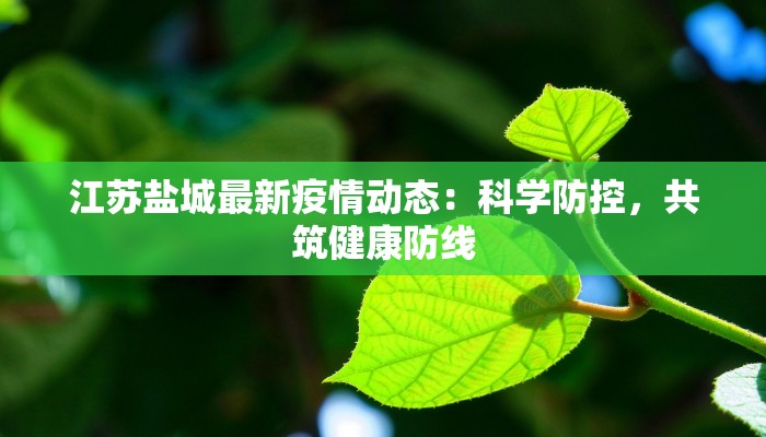 江苏盐城最新疫情动态：科学防控，共筑健康防线