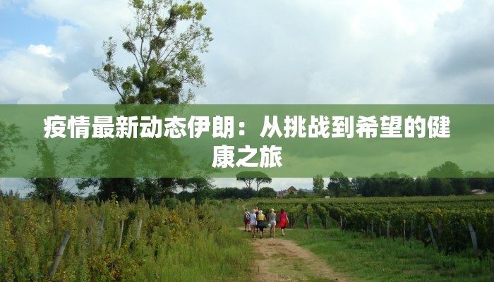 疫情最新动态伊朗：从挑战到希望的健康之旅