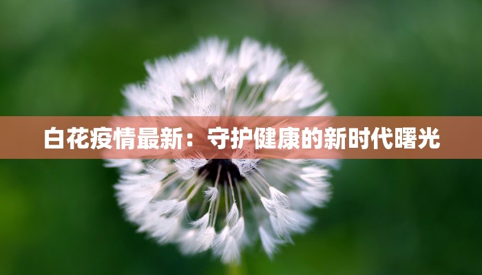 白花疫情最新：守护健康的新时代曙光