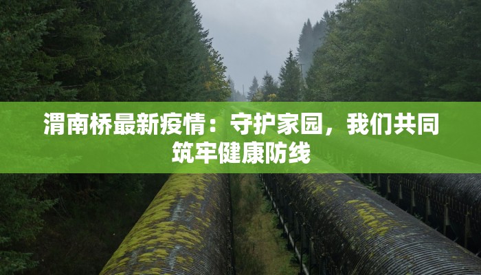 柳林镇最新疫情：科学防控，守护健康家园