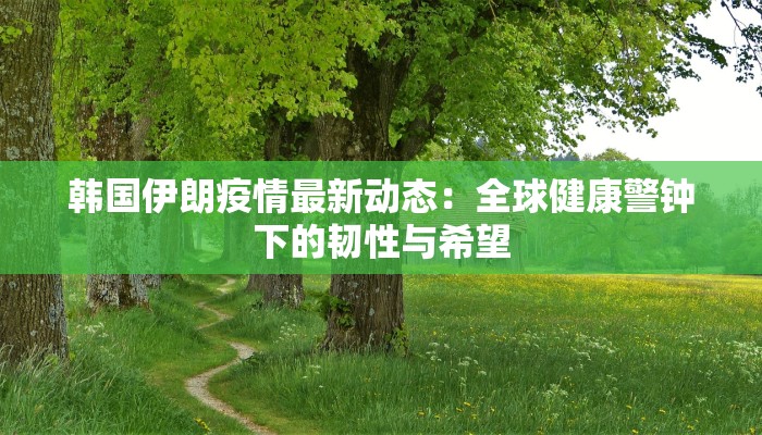 韩国伊朗疫情最新动态：全球健康警钟下的韧性与希望