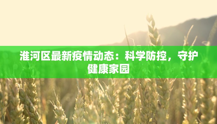 淮河区最新疫情动态：科学防控，守护健康家园