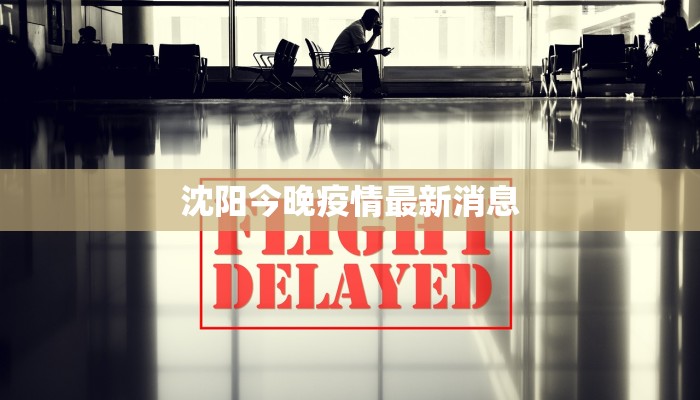 沈阳今晚疫情最新消息