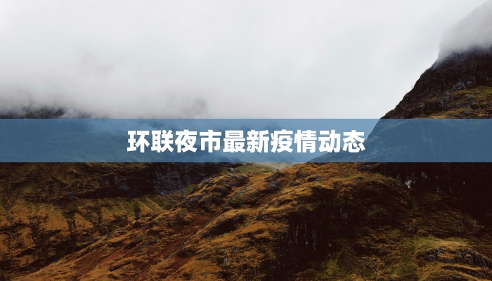 环联夜市最新疫情动态