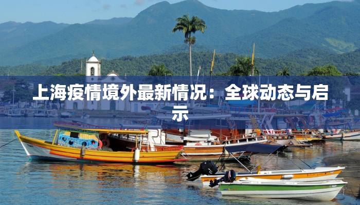 上海疫情境外最新情况：全球动态与启示