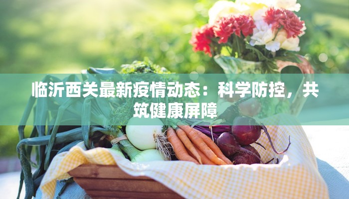 临沂西关最新疫情动态：科学防控，共筑健康屏障