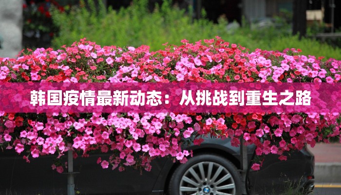 韩国疫情最新动态：从挑战到重生之路