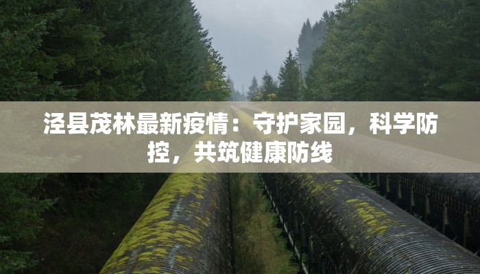 泾县茂林最新疫情：守护家园，科学防控，共筑健康防线