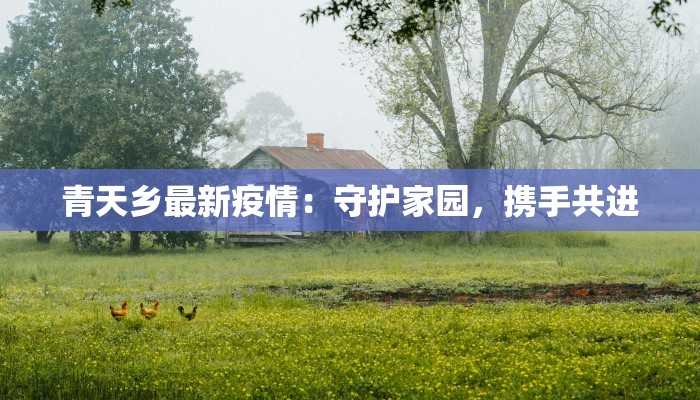 青天乡最新疫情：守护家园，携手共进