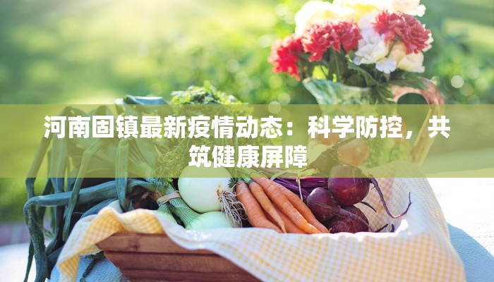 河南固镇最新疫情动态：科学防控，共筑健康屏障