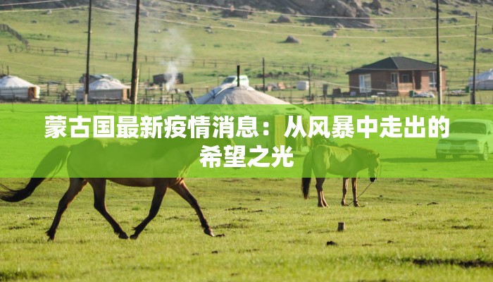 蒙古国最新疫情消息：从风暴中走出的希望之光
