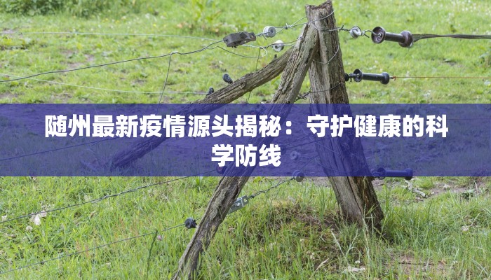 随州最新疫情源头揭秘：守护健康的科学防线