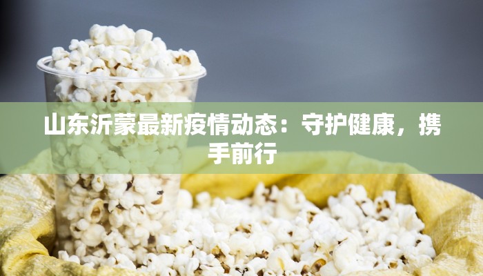 山东沂蒙最新疫情动态：守护健康，携手前行