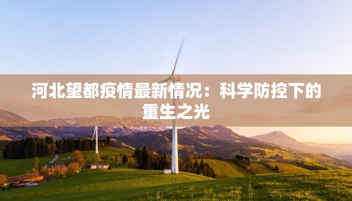 河北望都疫情最新情况:科学防控下的重生之光 河北望都疫情最新情况:科学防控下的重生之光